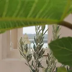 Villa Edem *